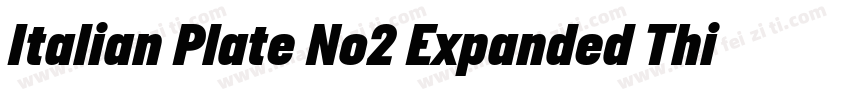 Italian Plate No2 Expanded Thin字体转换